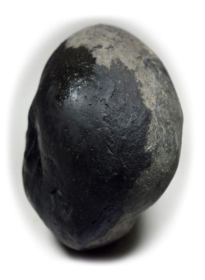 غلوبال حجر سانتان جوبال شاليجرام شيلا الأصلي العالمي من نهر غانداكي في نيبال لورد فيشنو، تولسي بوجا - Image 4